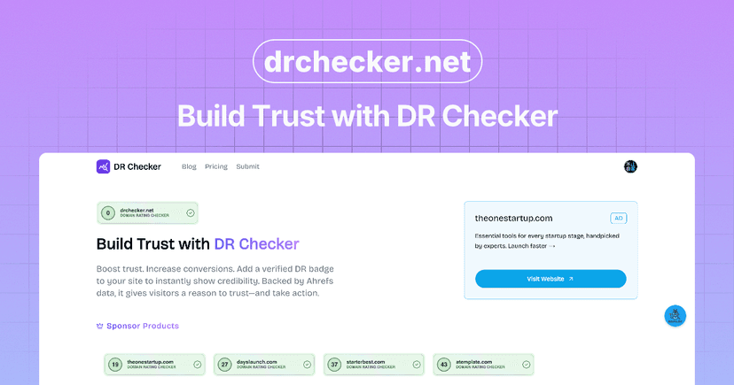 DR Checker